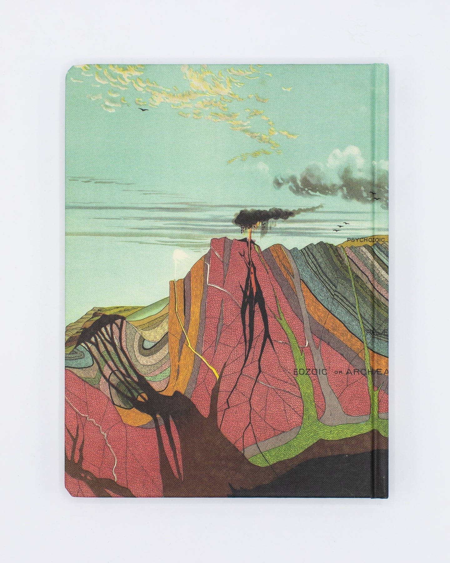 Earth's Geology Hardcover - Blank Cognitive Surplus