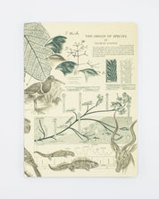 Evolution Softcover - Lined Cognitive Surplus