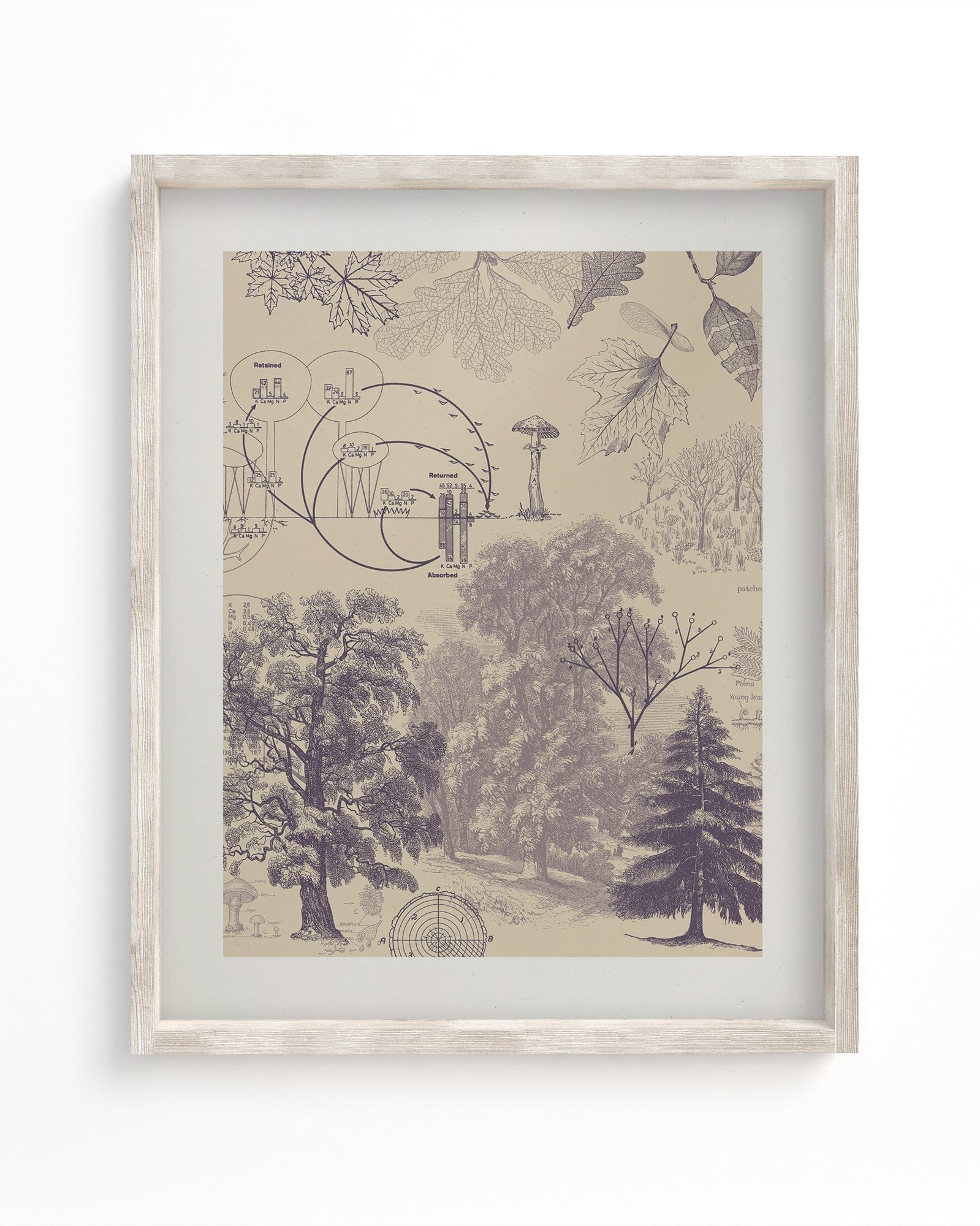 Forest Nutrients Museum Print Cognitive Surplus