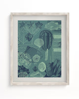 Fossils Scientific Illustration Museum Print