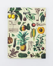 Fruits & Vegetables Hardcover - Lined/Grid Cognitive Surplus