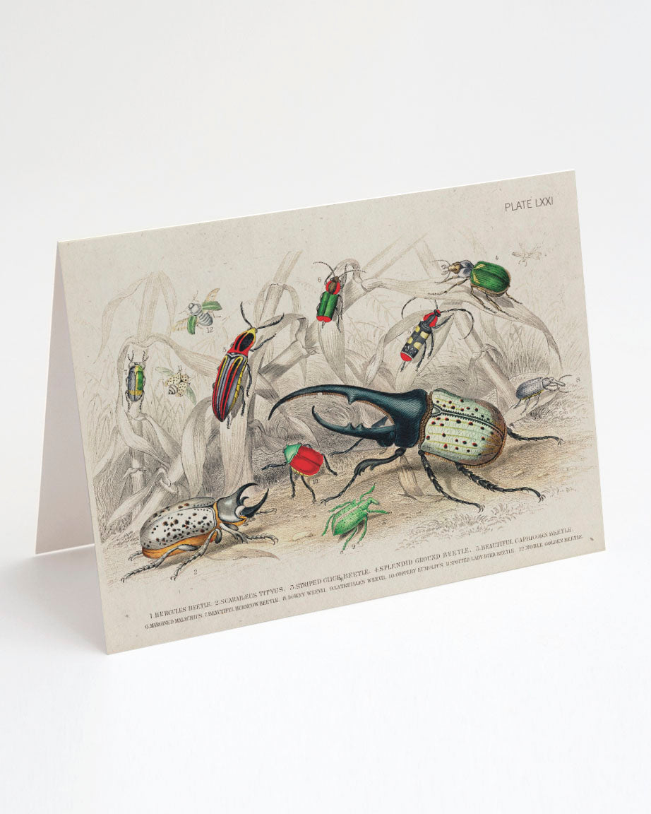 A Cognitive Surplus Beetle Greeting Card.