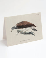 Fish Eagle Bird Card