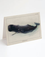 Sperm Whale Greeting Card