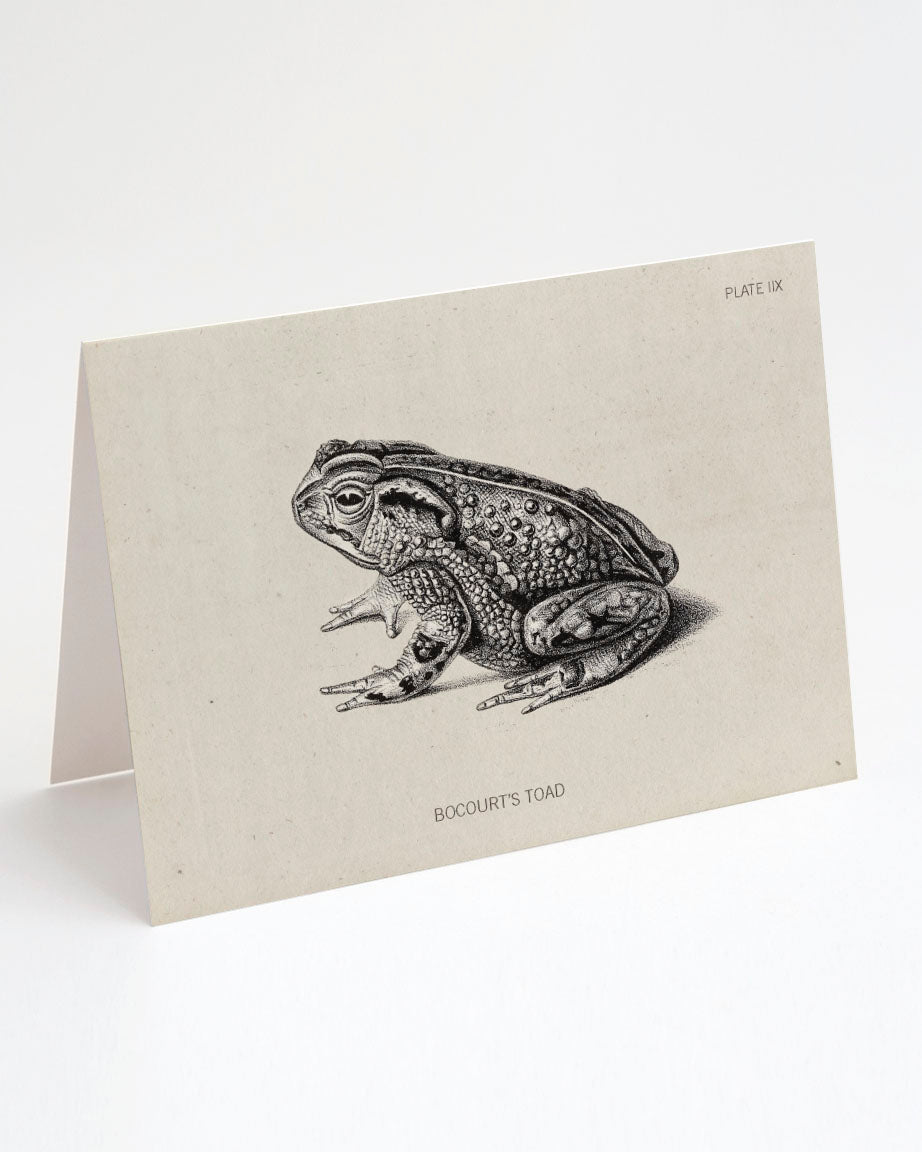 A black and white drawing of a toad on a Cognitive Surplus greeting card.