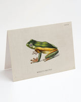 Tree Frog Greeting Card