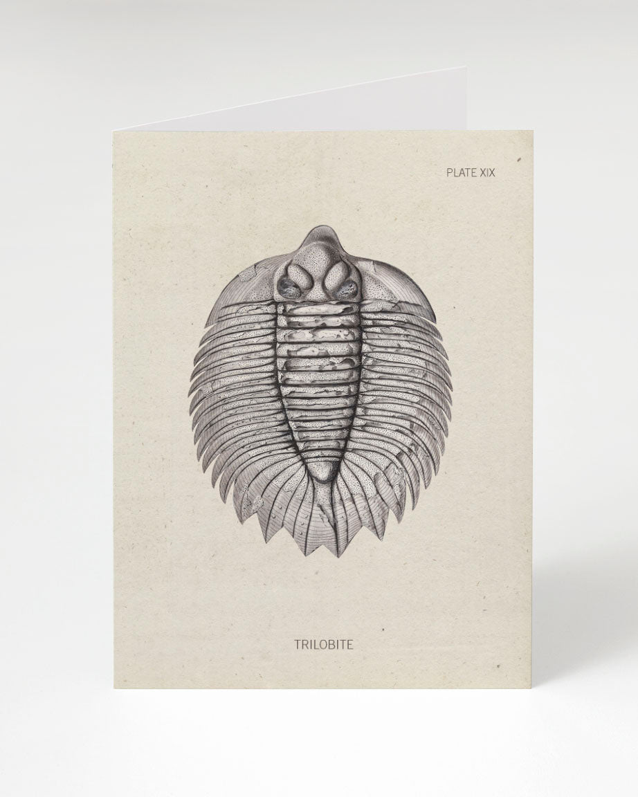 A Cognitive Surplus Trilobite Fossil Card.