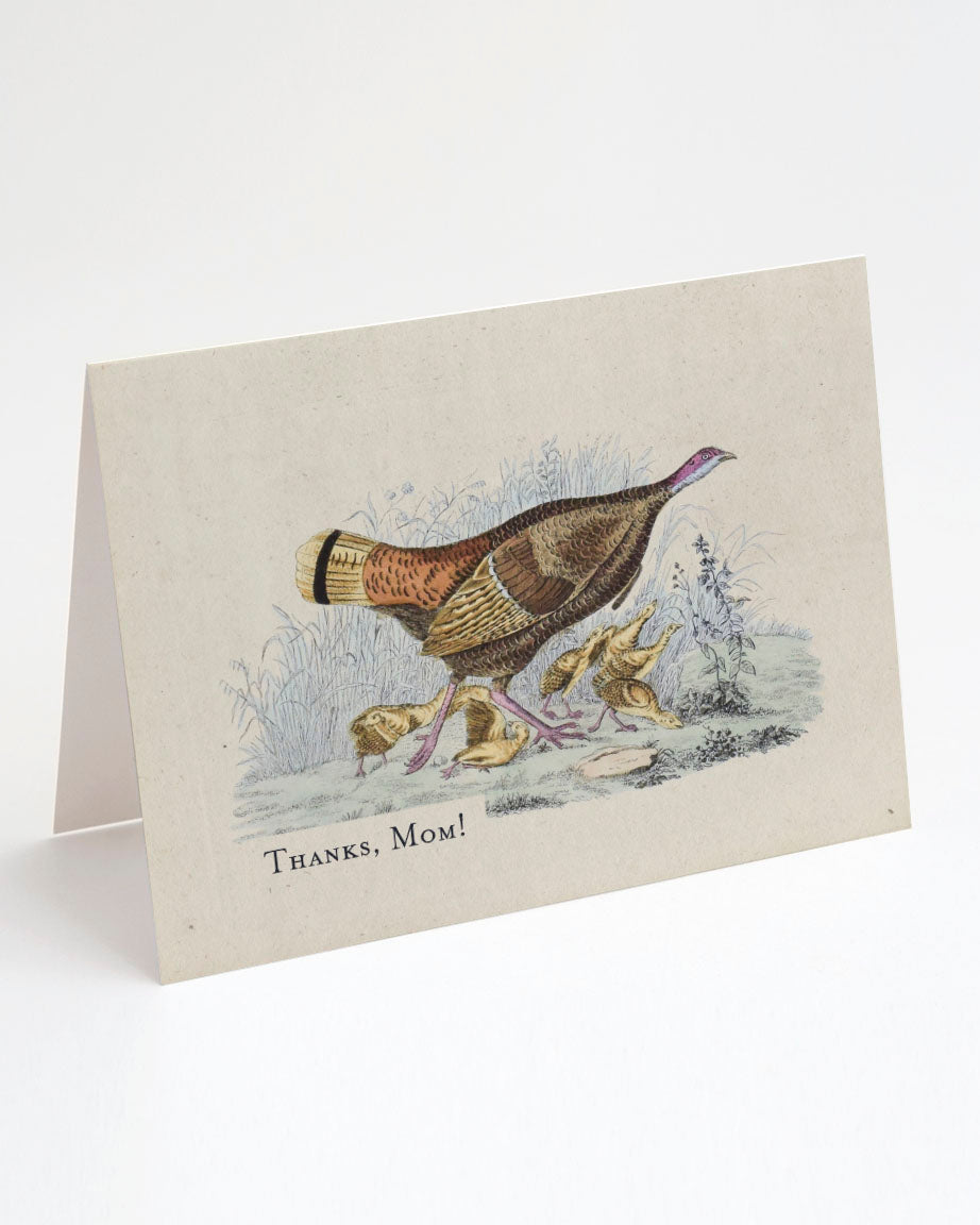 A "Thanks, Mom! Turkey Hen & Young Card" with an image of a turkey on it from Cognitive Surplus.