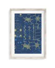Genetics: DNA Museum Print Cognitive Surplus