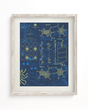 Genetics: DNA Museum Print Cognitive Surplus