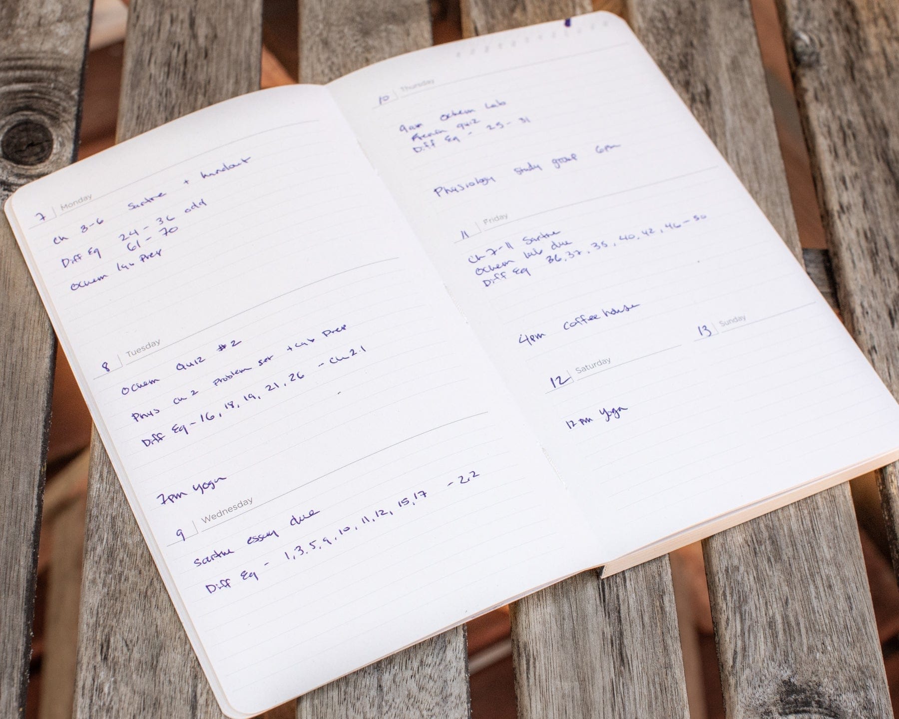 Genetics & DNA Yearly Planner Cognitive Surplus
