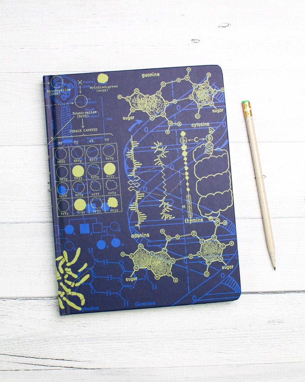 Genetics Hardcover - Dot Grid Cognitive Surplus