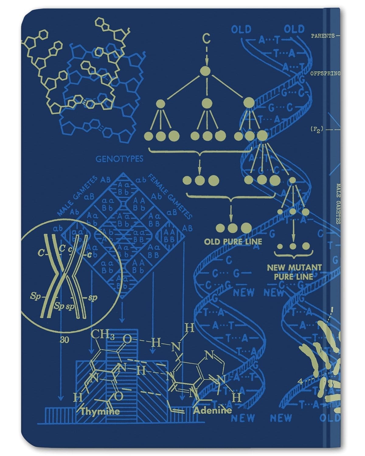 Genetics Hardcover - Dot Grid Cognitive Surplus