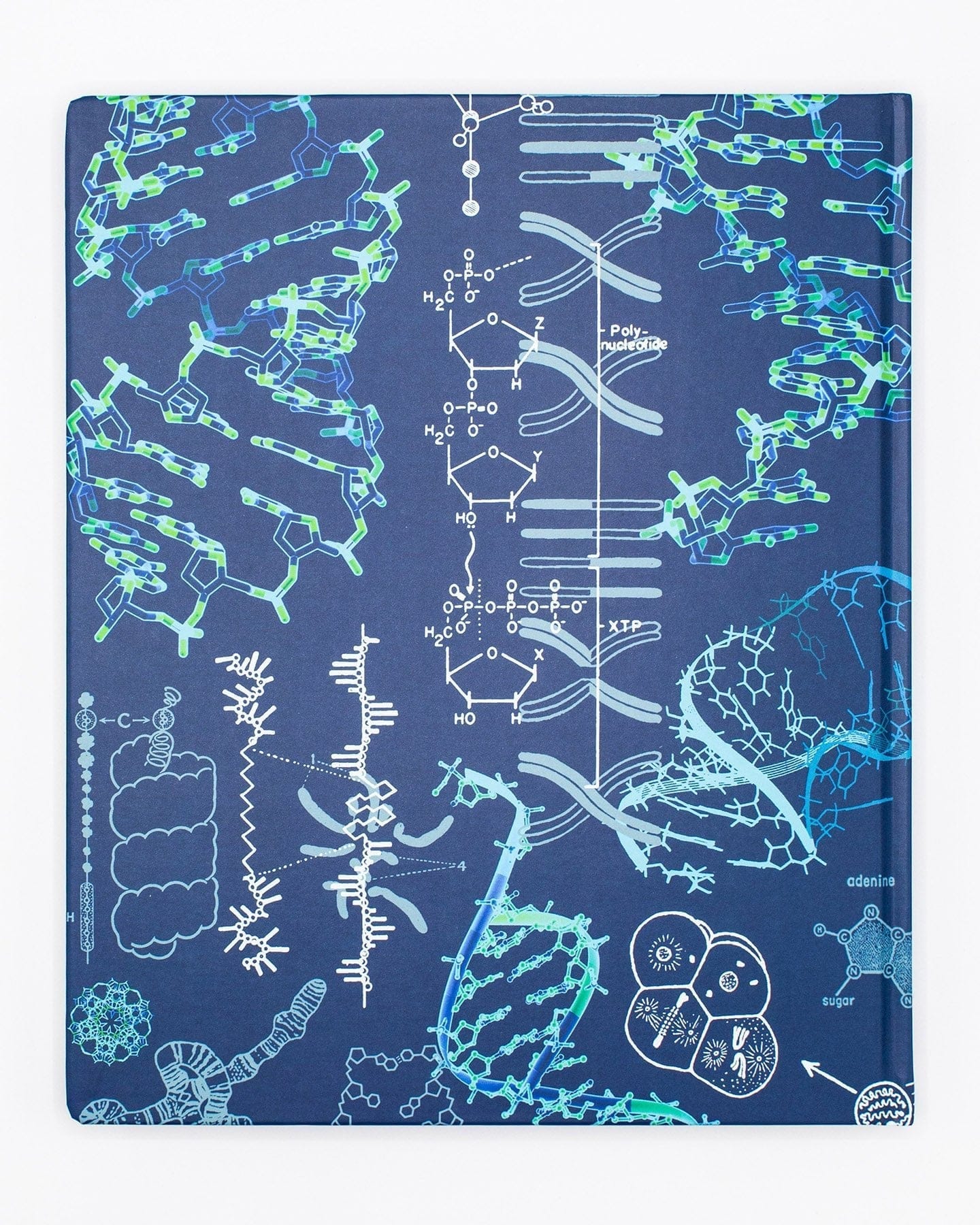 Genetics Lab Notebook Cognitive Surplus