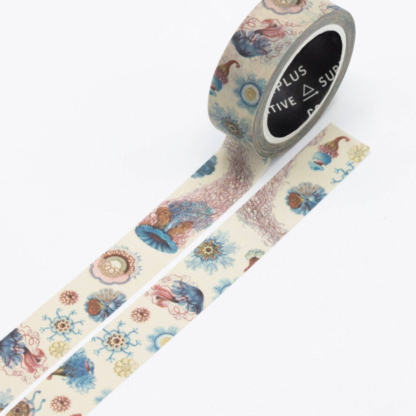 Haeckel Jellyfish Washi Tape Cognitive Surplus