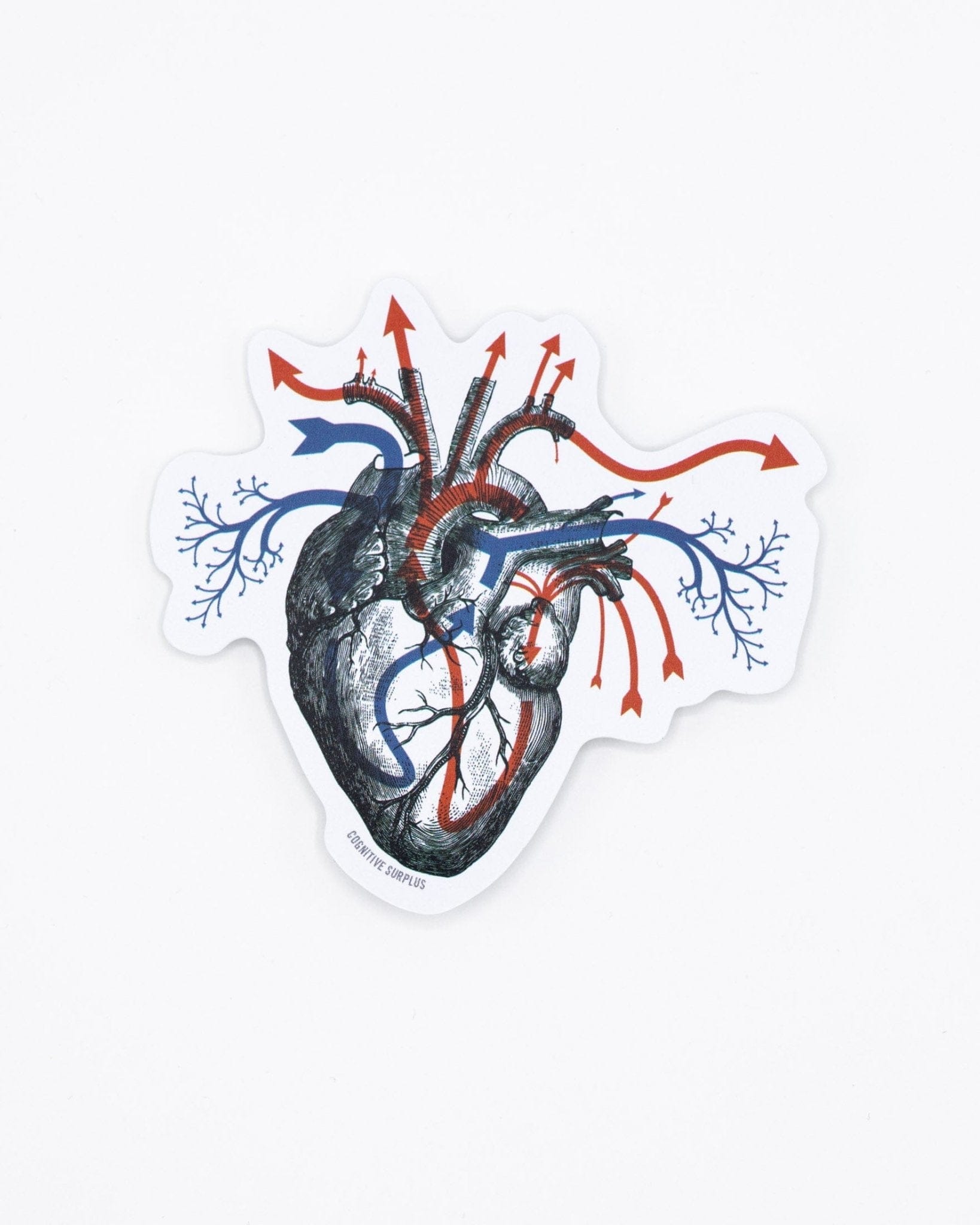 Heart Blood Flow Sticker Cognitive Surplus