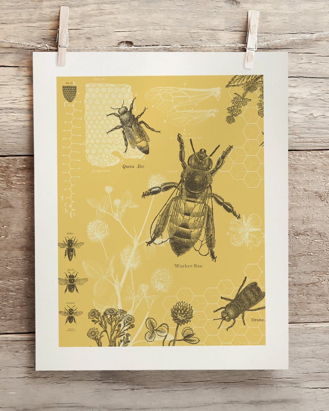 Honey Bee Museum Print Cognitive Surplus
