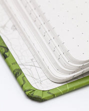 Insects Butterflies & Beetles Hardcover - Dot Grid Cognitive Surplus