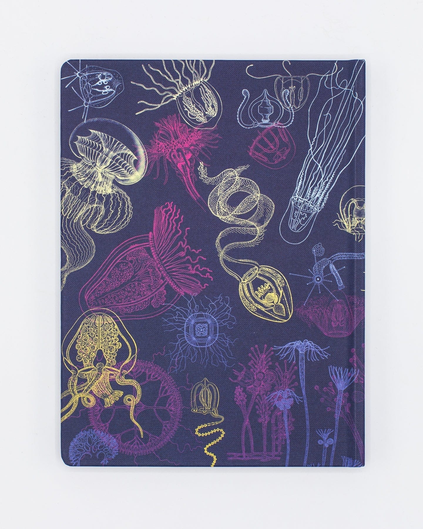 Jellyfish Hardcover - Dot Grid Cognitive Surplus