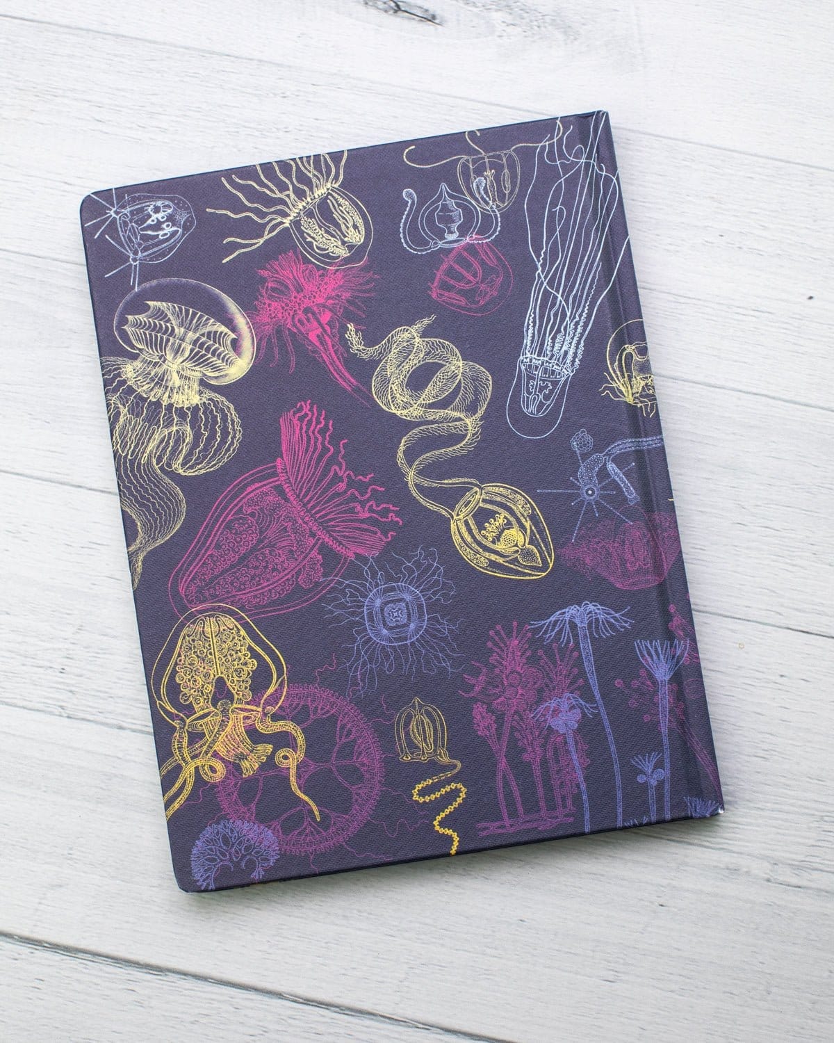 Jellyfish Hardcover - Dot Grid Cognitive Surplus