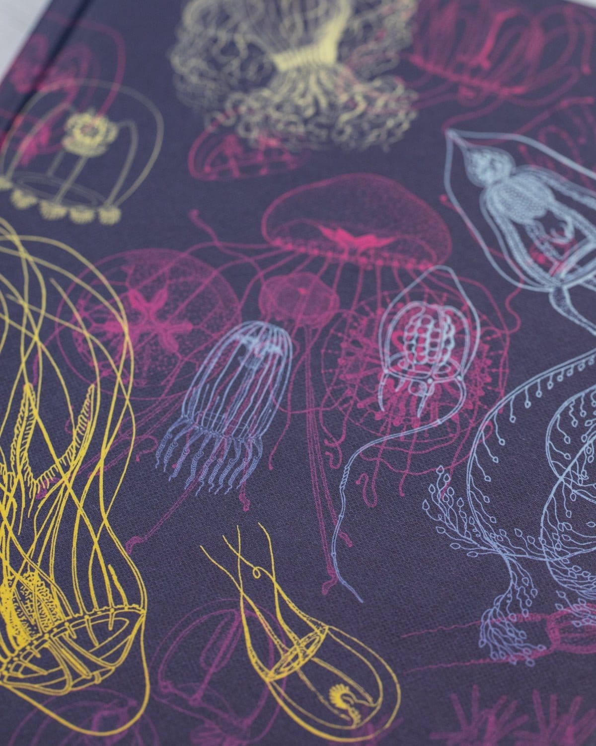 Jellyfish Hardcover - Dot Grid Cognitive Surplus