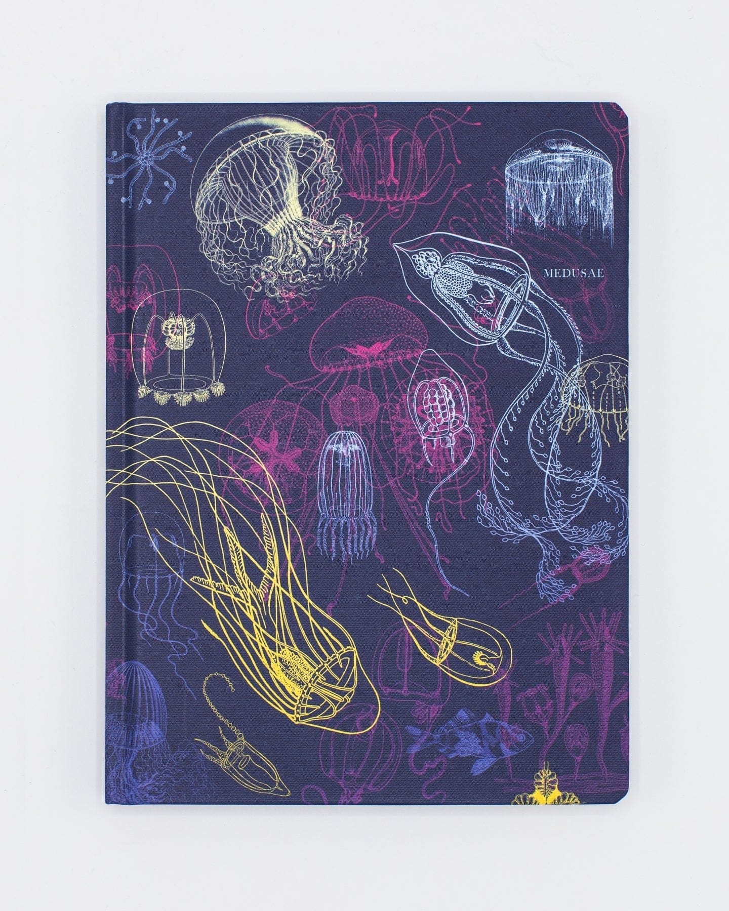 Jellyfish Hardcover - Dot Grid Cognitive Surplus