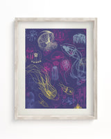 Jellyfish Scientific Illustration Museum Print