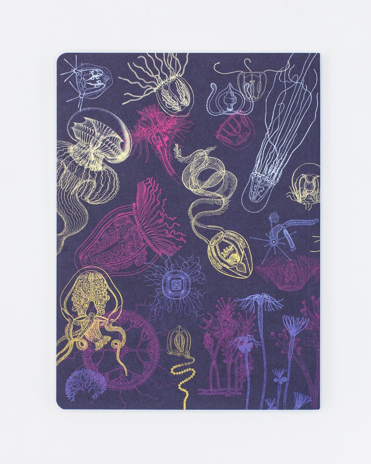 Jellyfish Softcover - Lined Cognitive Surplus