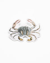 Lady Crab Sticker Cognitive Surplus
