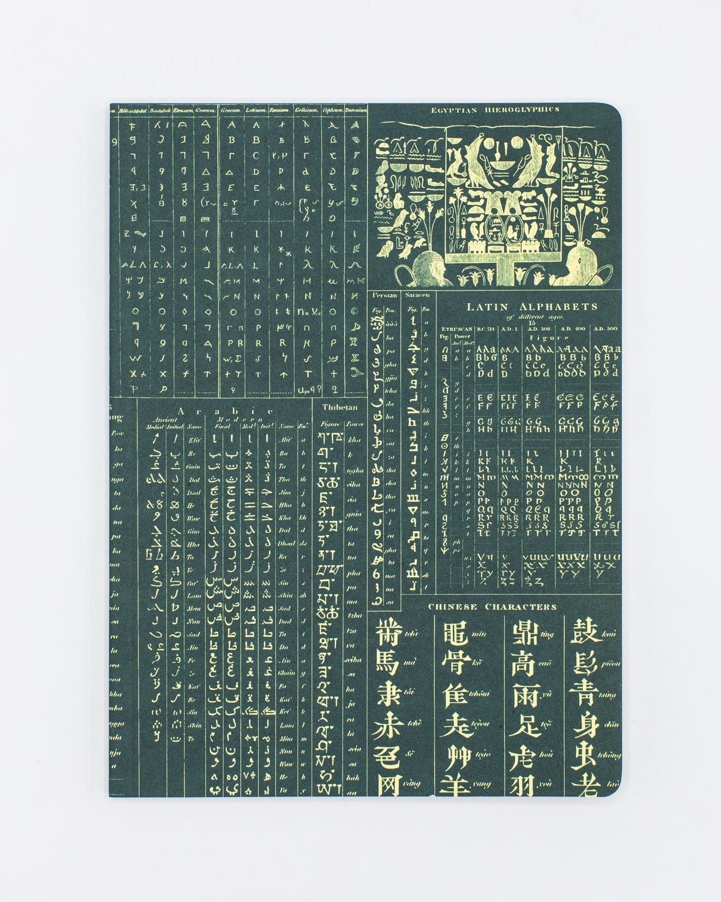 Linguistics Softcover - Lined Cognitive Surplus