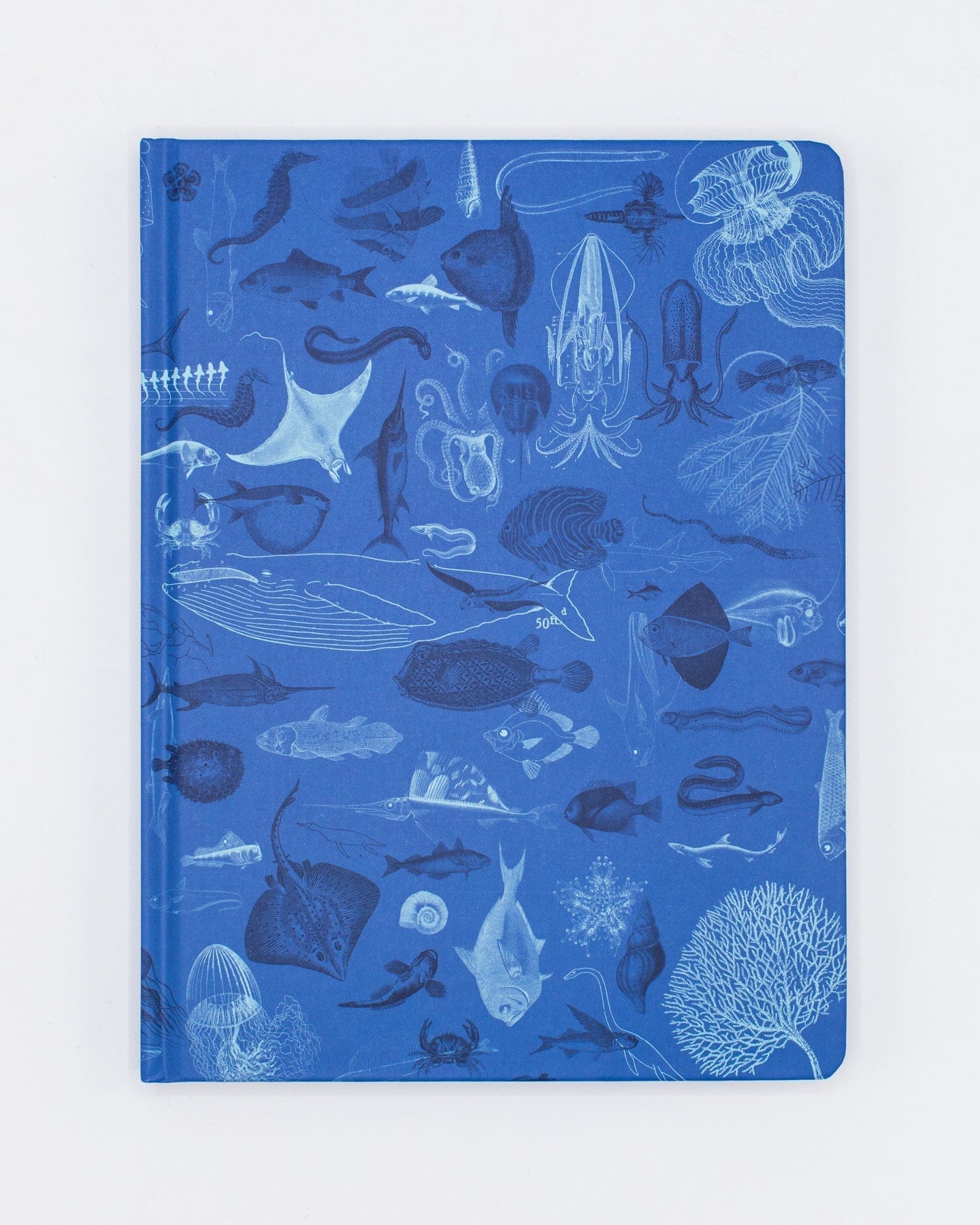 Marine Biology Hardcover - Dot Grid Cognitive Surplus