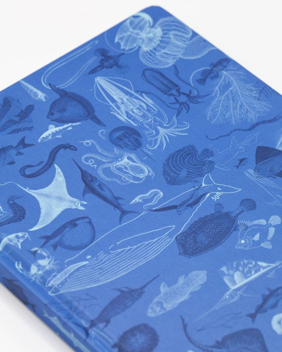 Marine Biology Hardcover - Dot Grid Cognitive Surplus