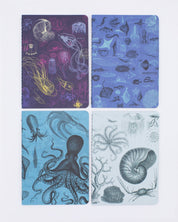 Marine Biology Pocket Notebook 4-pack Cognitive Surplus