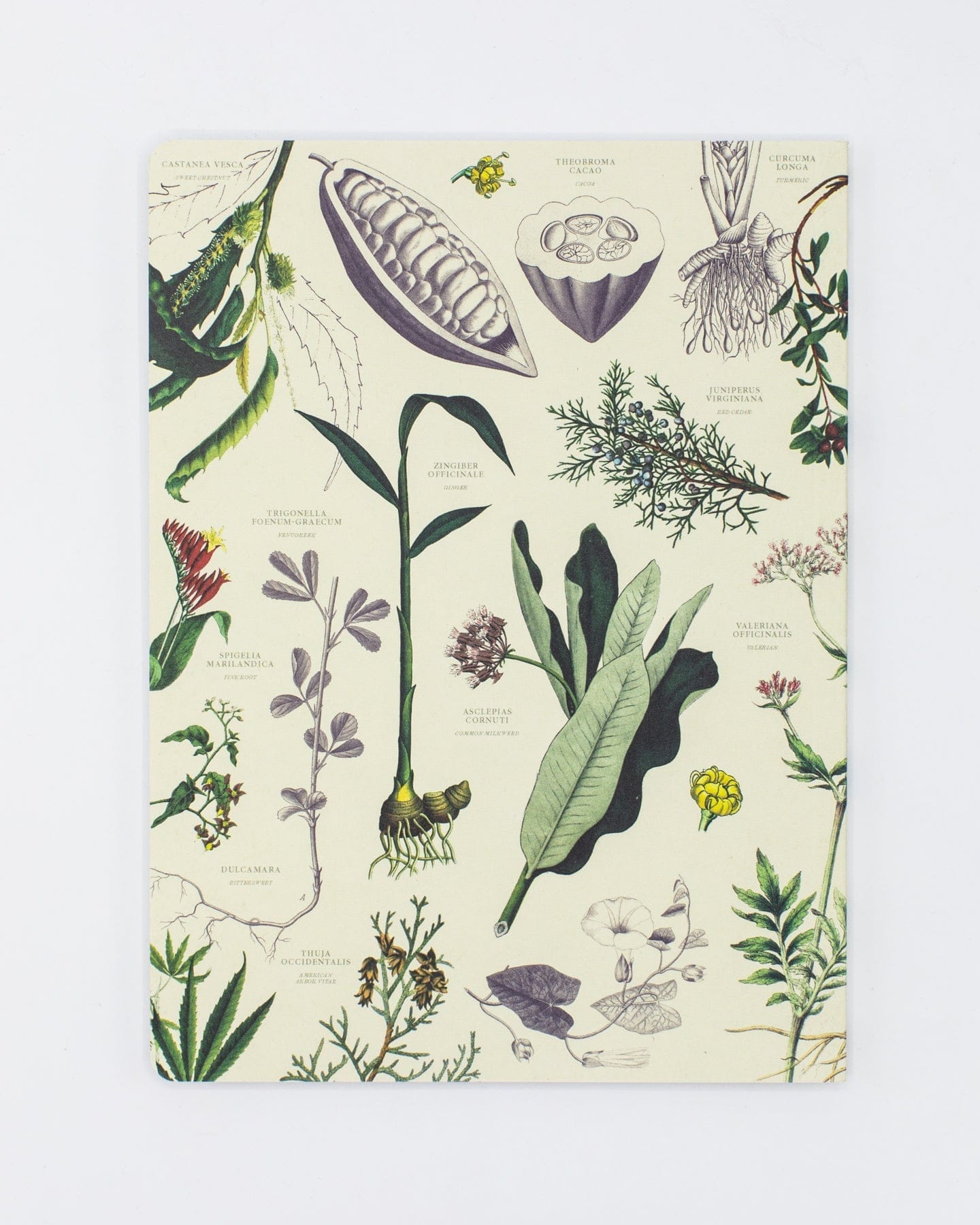 Medicinal Botany Softcover - Dot Grid Cognitive Surplus
