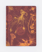 Microbiology Hardcover - Dot Grid Cognitive Surplus