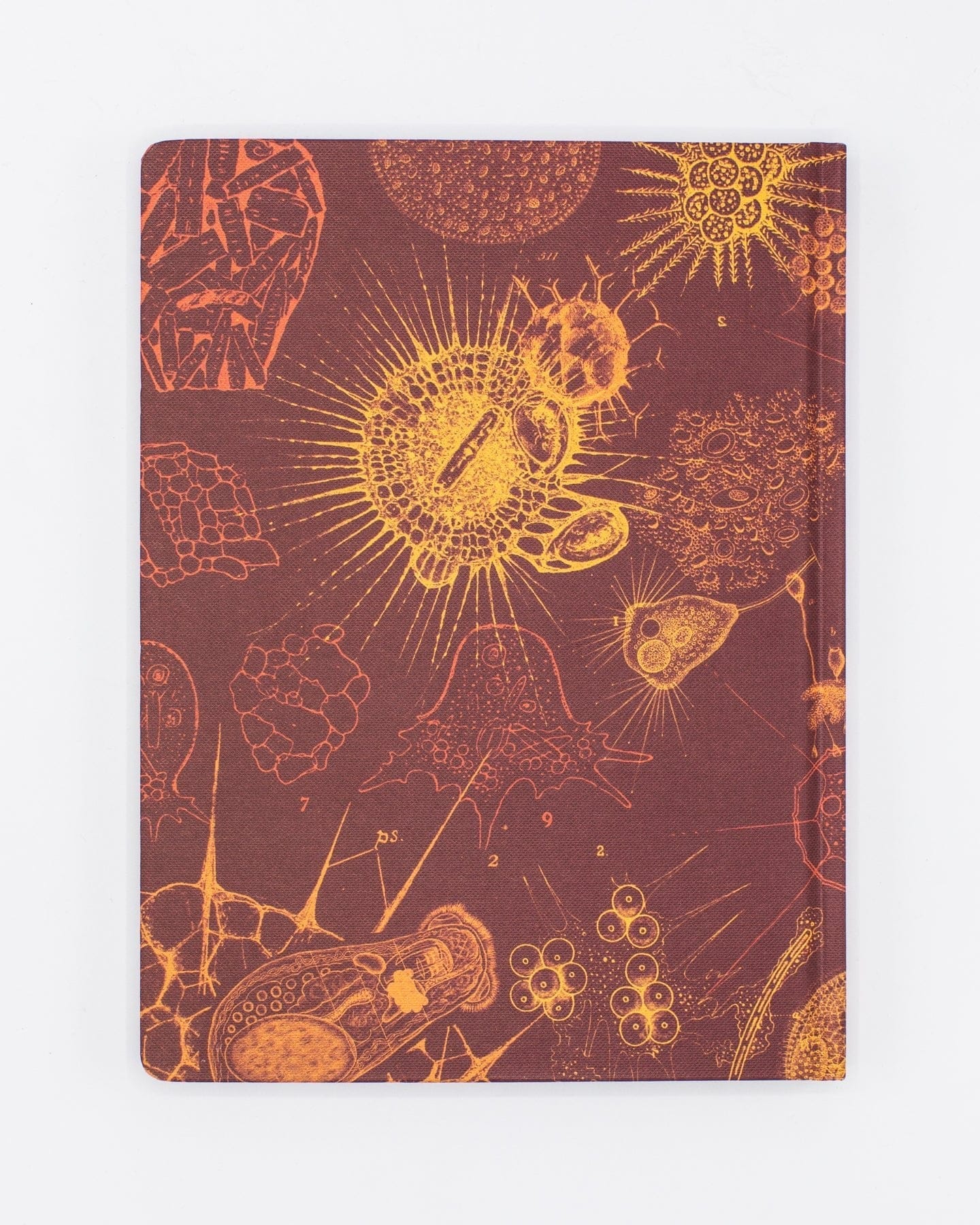 Microbiology Hardcover - Dot Grid Cognitive Surplus