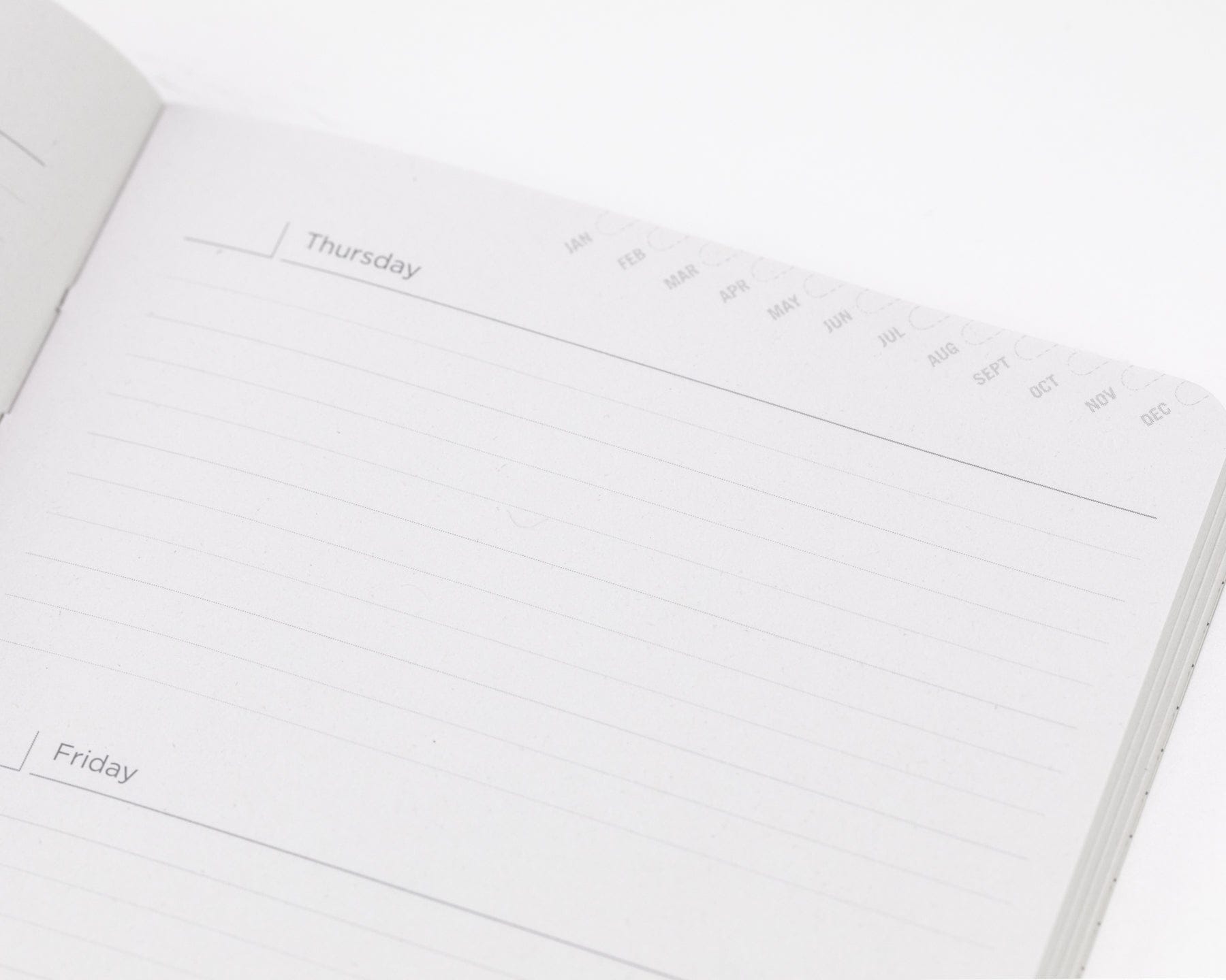 Mushrooms Yearly Planner Cognitive Surplus