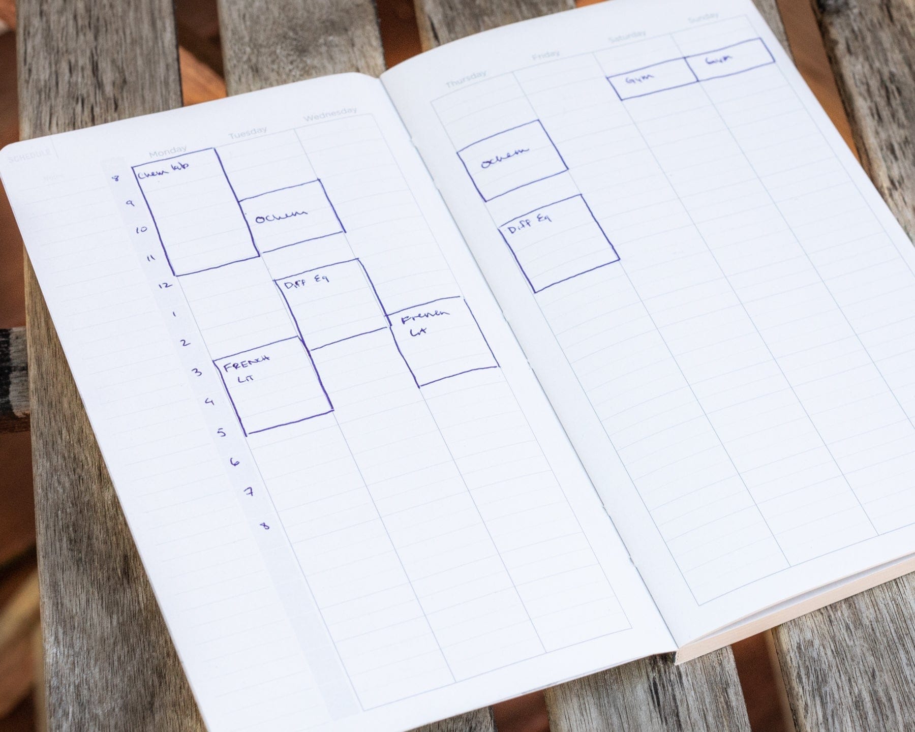 Neural Circuit Yearly Planner Cognitive Surplus