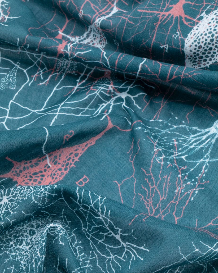 Neuron Scarf Cognitive Surplus