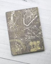 Neurons Hardcover - Lined/Grid Cognitive Surplus