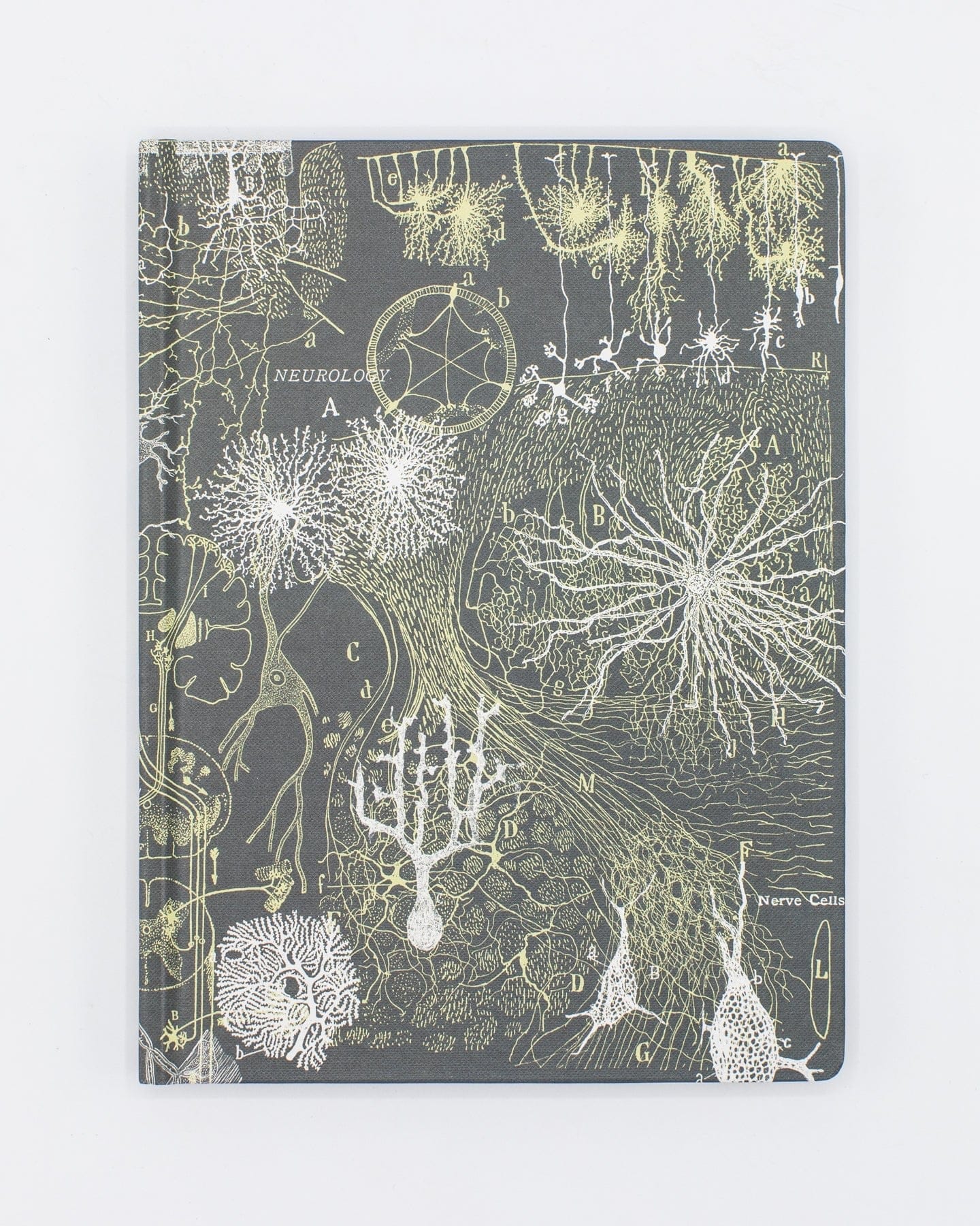 Neurons Hardcover - Lined/Grid Cognitive Surplus