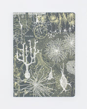 Neurons Softcover - Lined Cognitive Surplus