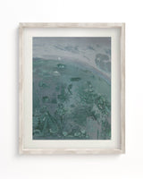 Ocean Planet Scientific Illustration Museum Print