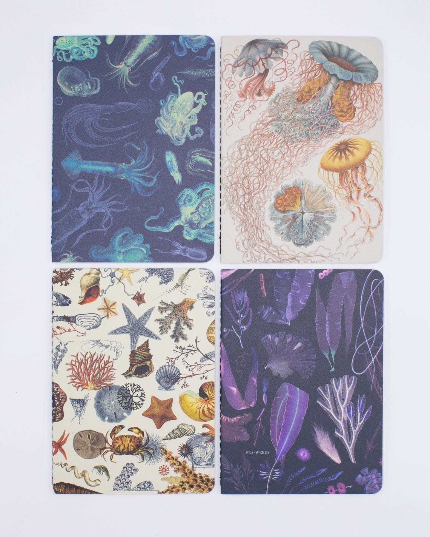 Ocean Pocket Notebook 4-pack Cognitive Surplus
