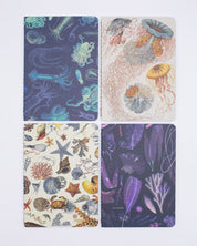 Ocean Pocket Notebook 4-pack Cognitive Surplus