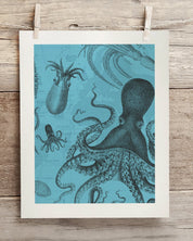 Octopus & Squid Museum Print Cognitive Surplus