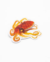 Octopus Sticker