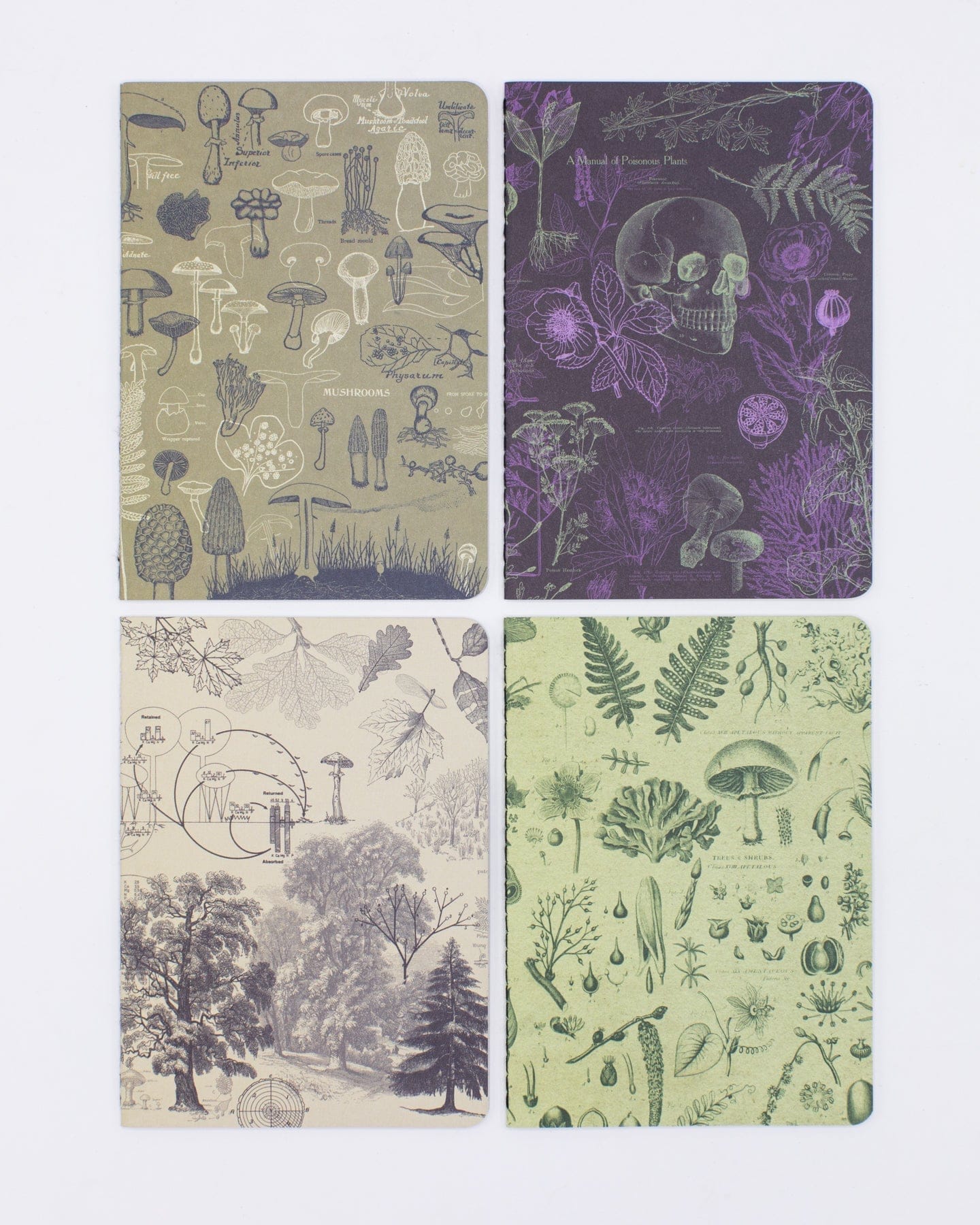 Plants & Fungi Pocket Notebook 4-pack Cognitive Surplus