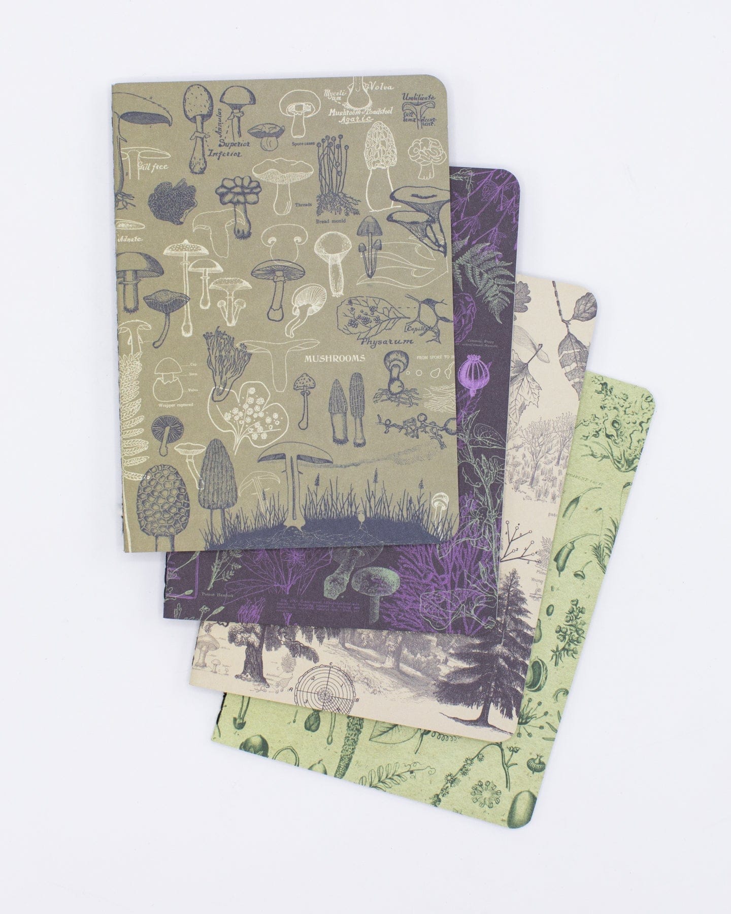 Plants & Fungi Pocket Notebook 4-pack Cognitive Surplus