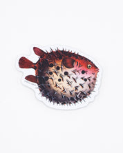 Pufferfish Sticker Cognitive Surplus